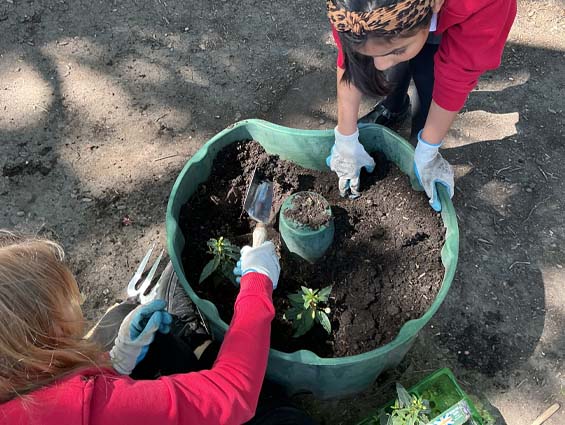 Earth Day - April 2026