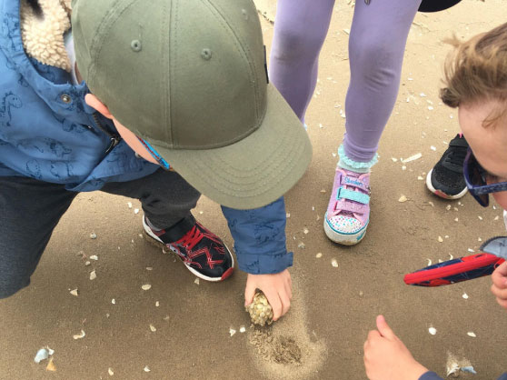 Trip to Formby beach - June 2022