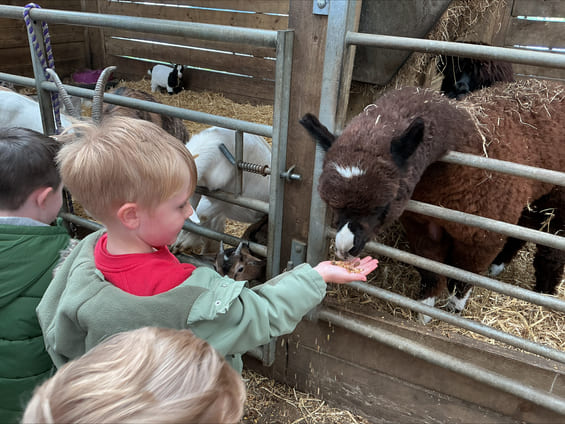 Smithills Farm - May 2026